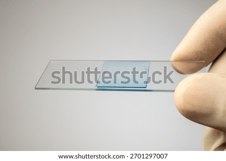 Gloved hand holding a microscope slide with a prepared blue-stained sample for analysis.