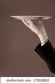 Gloved Hand Holding  Serving Tray Isolated   