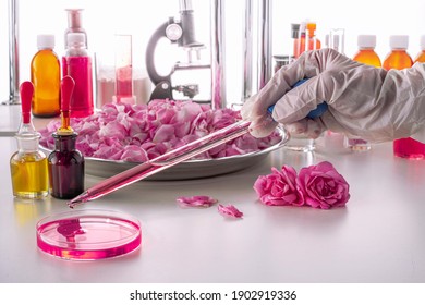A gloved hand holds a pipettу over a petri dish in an up-to-date perfume laboratory. Background blurred