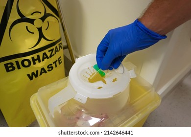 Gloved hand putting green needle sharp into biohazard safety bin Disposal of sharps in containers is common in hospital settings following phlebotomy, referred to as taking blood by non health profess