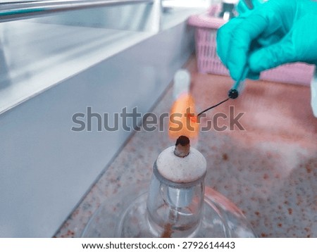 Gloved hand sterilizing an inoculating loop over a Bunsen burner flame as part of aseptic microbiological procedures to prevent contamination during microbial culture handling.