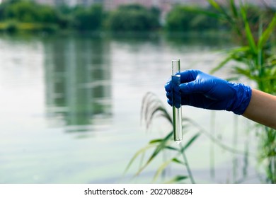 A Gloved Hand Takes Water Into A Test Tube From A City Reservoir. Urban Waste Water. Sampling From Open Water. Scientist Or Biologist Takes A Sample Of Water Into A Test Tube.