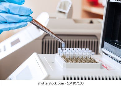 Gloved Hand Of Tecnician Loading Test Tubes With Sampled DNA For Polymerase Chain Reaction