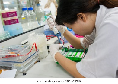 Gloved Hand Of Tecnician Loading Test Tubes With Sampled DNA For Polymerase Chain Reaction