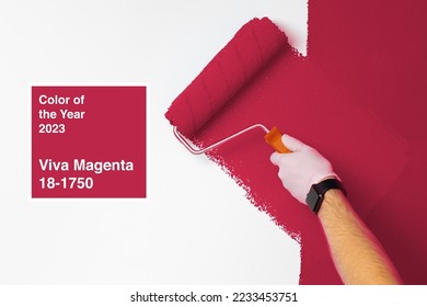 Gloved male hand painting wall into classic magenta color. Color of the year 2023, viva magenta. - Shutterstock ID 2233453751