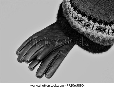 Similar – Image, Stock Photo snowed in Winter Snow Coat