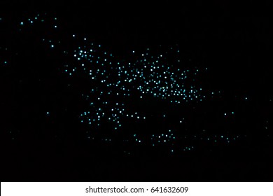 Glow worm cave, North Island, New Zealand