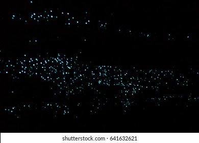 Glow Worm Cave, North Island, New Zealand