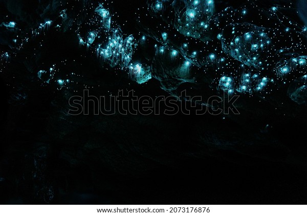 Glow worms in the\
Okupata cave, New Zealand