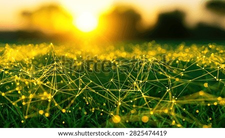 A glowing abstract network of interconnected nodes and lines overlays a lush green field, with the sun setting in the background.