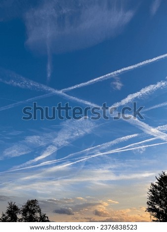 Glowing airplane contrails intertwine in the blue sky of an early autumn morning. Pattern of remnant condensation trails from modern means of transport and travelling high above the treetop silhouette