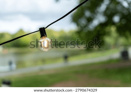 A glowing bulb hangs from a black cable with a blurred natural park background, soft daylight, green trees, water, and open space creating a calm outdoor scene