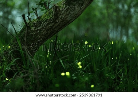 Glowing fireflies flutter in a lush forest underbrush by a moss-covered tree trunk.