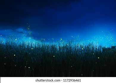 glowing fireflies on a grass filed at night