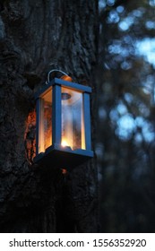 Glowing lantern on the tree