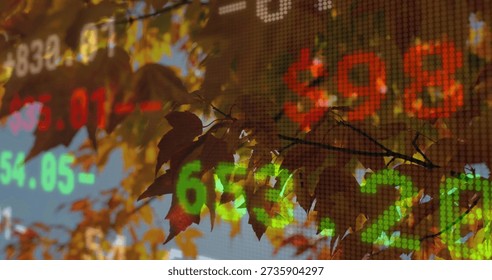 Glowing maple leaf cluster backlighting autumn branch, showing dotted LED stock numbers green red. Tree, foliage, sunlit, bokeh, doubleexposure, juxtaposition, market