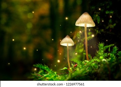 Glühende Pilzlampen mit Glühbirnen im zauberhaften Wald