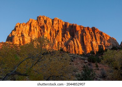 Glowing Rockface at Sunset in Zion National Park
