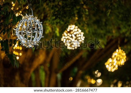 Glowing Spherical Lanterns Hanging in Trees at Night during festive season