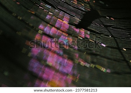 Glowing spider web macro shot