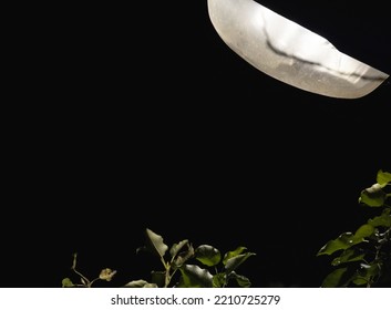 Glowing Street Light And Green Tree Leaves. Abstract Urban Night Photo