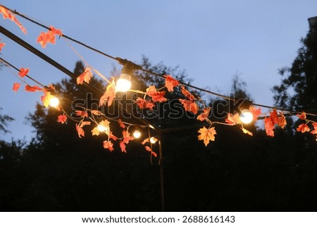 Glowing string lights are adorned with artificial Maple leaves at twilight.