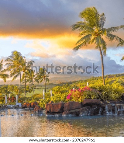 Glowing sunset over wind blown palm trees and waterfalls
