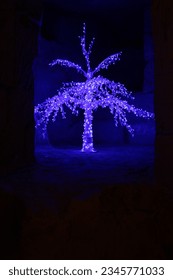 glowing tree in the cave