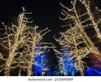 Glowing Trees with Lights, Sparkling Christmad Park Lights, Luminous Exhibition with Colourful Glowing Lightshow, Woodland Adventure, Neon Illuminated Experience, Night Dark Winter Background - Powered by Shutterstock