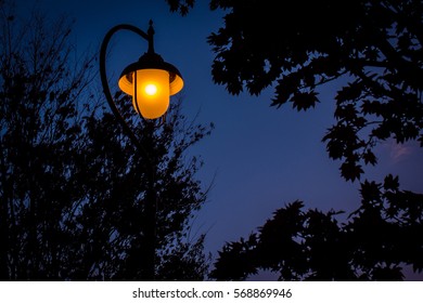 Glowing Yellow Street Light At The Night.