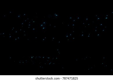 Glowworms In Waipu Caves 3