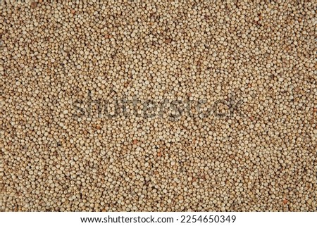 Gluten free Sorghum seeds isolated on white background.   Whole seeds of Sorghum Moench, millet, feed. A Bowl of Sprouted Sorghum and Sorghum Flour on a Bright White Table. ストックフォト © 