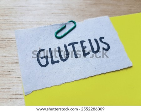 Gluteus writting on table background.