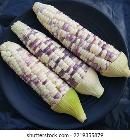 Glutinous corn or Waxy corn or Jagung pulut or Jagung ketan - Shutterstock ID 2219355879