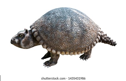 glyptodon vs armadillo