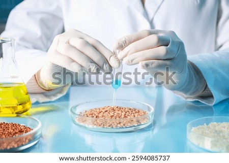 GMO concept. Scientist dripping something onto wheat grains at table in laboratory, closeup