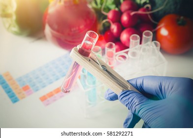 GMO Genetically Modified Food In Lab Concept. Analyst In Gloves Takes Test Tube. 