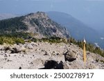 Gnarl Ridge: Timberline Trail Oregon