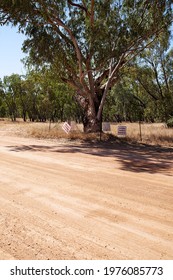 Gnarled Old Gum Tree Marked To Protect It For Aboriginal Cultural Heritage Beside A Road Being Developed For The Adani Bravus Coal Mine In Central Queensland. Vertical Format.