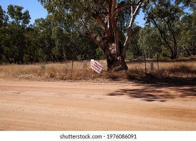 Gnarled Old Gum Tree Marked To Protect It For Aboriginal Cultural Heritage Beside A Road Being Developed For The Adani Bravus Coal Mine In Central Queensland.