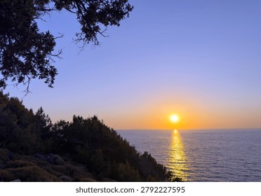 A gnarled tamarix tree frames the sun over the Aegean Sea on Ikaria Island, Greece. Warm coastal twilight.