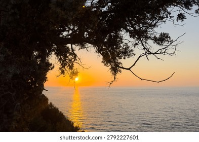 A gnarled tamarix tree frames the sun over the Aegean Sea on Ikaria Island, Greece. Warm coastal twilight.