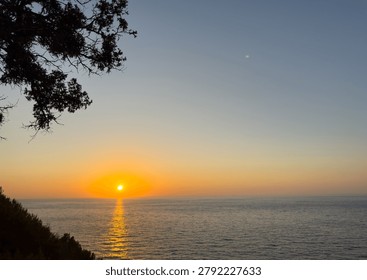A gnarled tamarix tree frames the sun over the Aegean Sea on Ikaria Island, Greece. Warm coastal twilight.