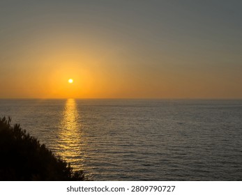 A gnarled tamarix tree frames the sun over the Aegean Sea on Ikaria Island, Greece. Warm coastal twilight.