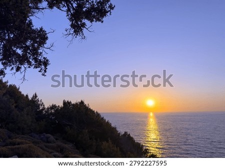 A gnarled tamarix tree frames the sun over the Aegean Sea on Ikaria Island, Greece. Warm coastal twilight.