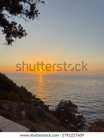A gnarled tamarix tree frames the sun over the Aegean Sea on Ikaria Island, Greece. Warm coastal twilight.