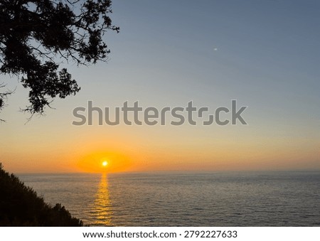 A gnarled tamarix tree frames the sun over the Aegean Sea on Ikaria Island, Greece. Warm coastal twilight.