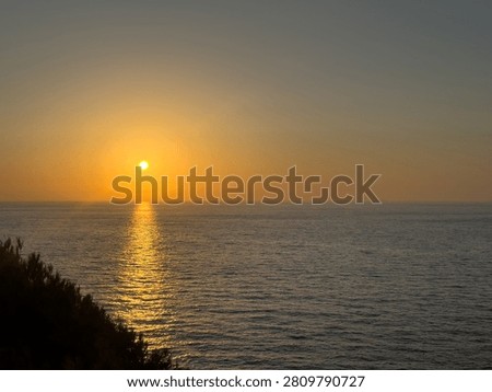 A gnarled tamarix tree frames the sun over the Aegean Sea on Ikaria Island, Greece. Warm coastal twilight.