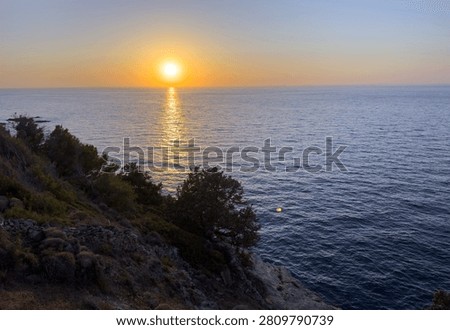 A gnarled tamarix tree frames the sun over the Aegean Sea on Ikaria Island, Greece. Warm coastal twilight.