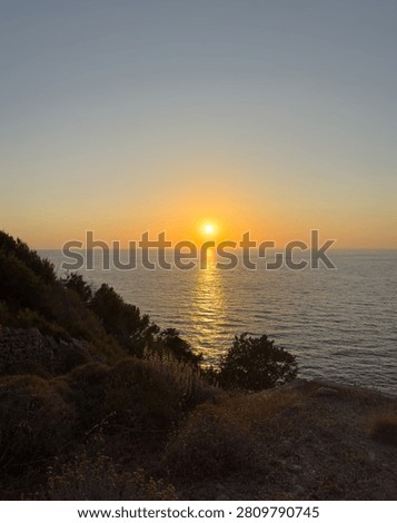 A gnarled tamarix tree frames the sun over the Aegean Sea on Ikaria Island, Greece. Warm coastal twilight.